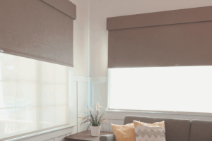 Dual Roller Blinds NZ