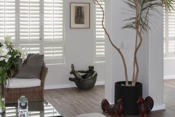 Interior Shutters Living Room